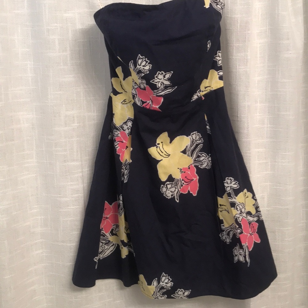 Strapless Lilly Putlizer Dress